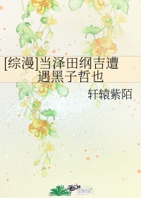 坚果vp加速器app