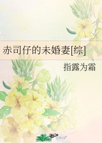 夏目彩春女律师中文字幕