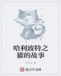 摄影师女友系列h文