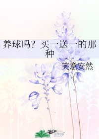 换妻文章