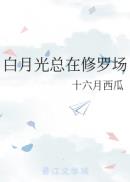 梦幻西游科举乡试题目答案大全2024