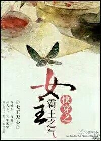 久久人人爽人人爽人人片dvd