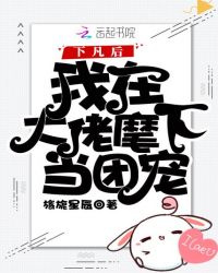 风之漫画海贼王