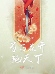 银砂糖师与黑妖精