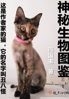 献身行长