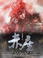 谍影重重4国语dvd