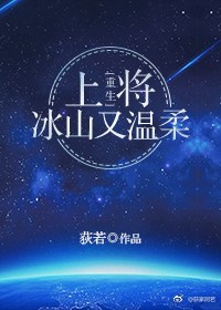 黑狐突击队40集完整版免费观看