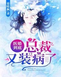 秦菲雪沈浩相见恨晚全文免费阅读