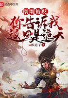 小鬼当家1_国语版_高清在线观看