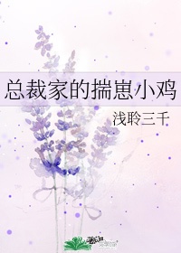 女性透明胸罩无遮挡