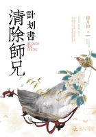 师奶股神