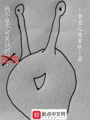 华丽的挑战漫画