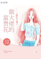 女职员办公室的办公桌