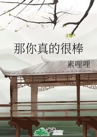 师父啊不要