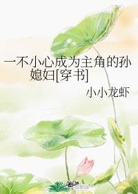 爱情公寓h版同人文