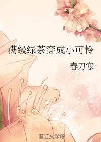 乱女小芳全集第一章