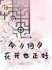 长月烬明电视剧在线观看免费版