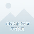 脑叶公司wiki