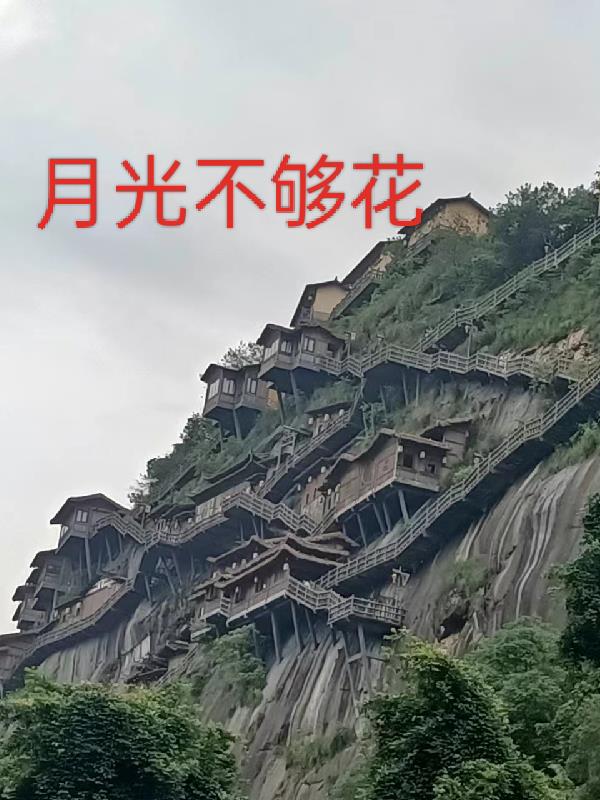 雕龙记