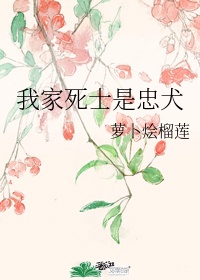 黑莲花攻略手册漫画免费下拉式漫画