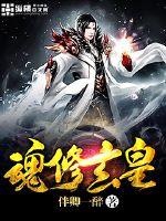 上门女婿叶辰完整版