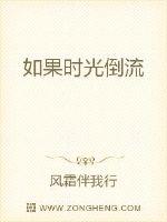 决战江桥电视剧全集免费观看