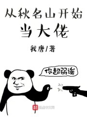 teachfeeling汉化下载