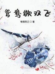 黑带大师