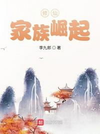 足球经理2