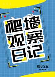 95视频在线观看完整版