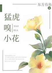 萌师在上土豪漫画