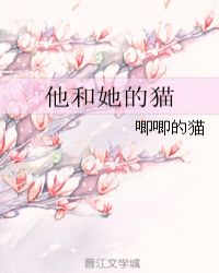 别我结婚大结局34集简介