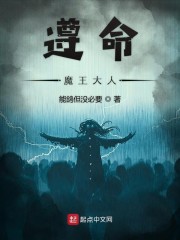 魔道祖师车文