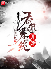 chinesesubtitles厕所