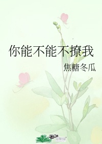 小受养成系统