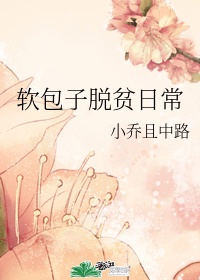 离婚律师电视剧全集