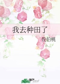 夫妻乐园全文阅读