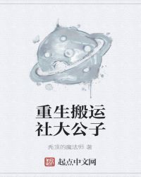 掌酷小说网情艳