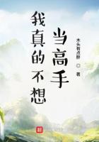 神雕侠侣刘亦菲版40集