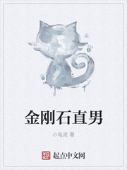 美女律师洛云的沉沦