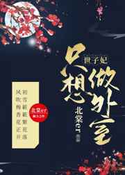 将军只爱我的钱