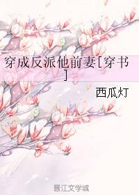 全职法师h文