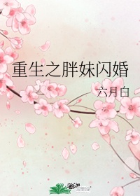 芳华小说