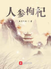 孟吟景黎小说