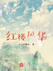 明星同款包包