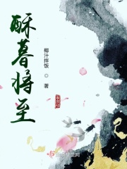 无罪之城小说