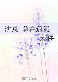 豪门第一盛婚小说