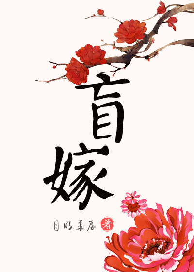 情乱莲花村林天成