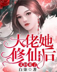 绝命律师第二季