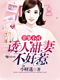 出轨的女人2